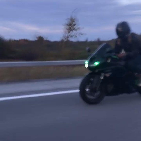 Meet your Posher, Rodney - Picture 1 of 1